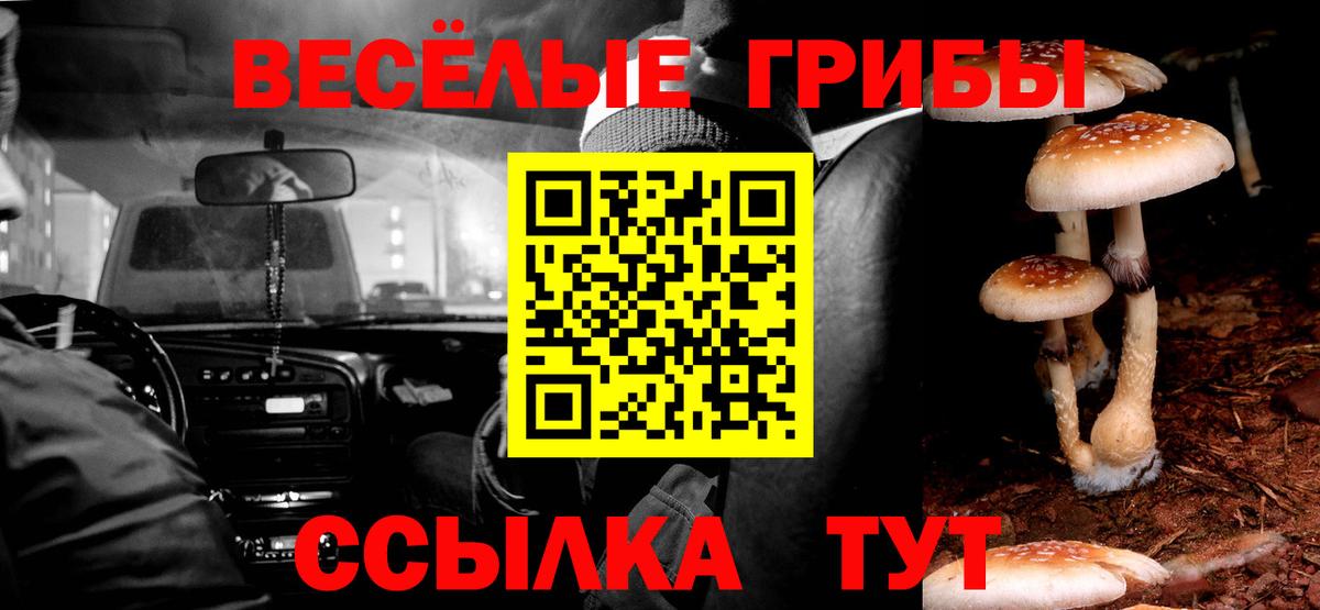 Кисловодск  Псилоцибиновые грибы мицелий  Вход с VPN 